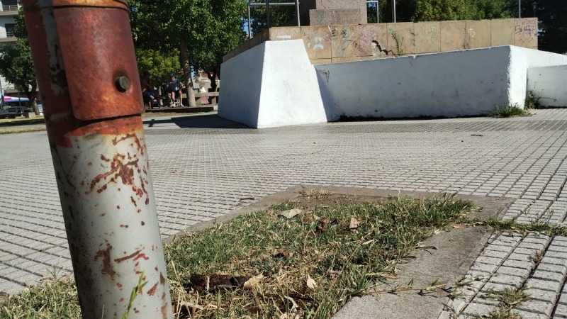 Plaza Alvaro Barros: no son los pobres perros, son sus due�os